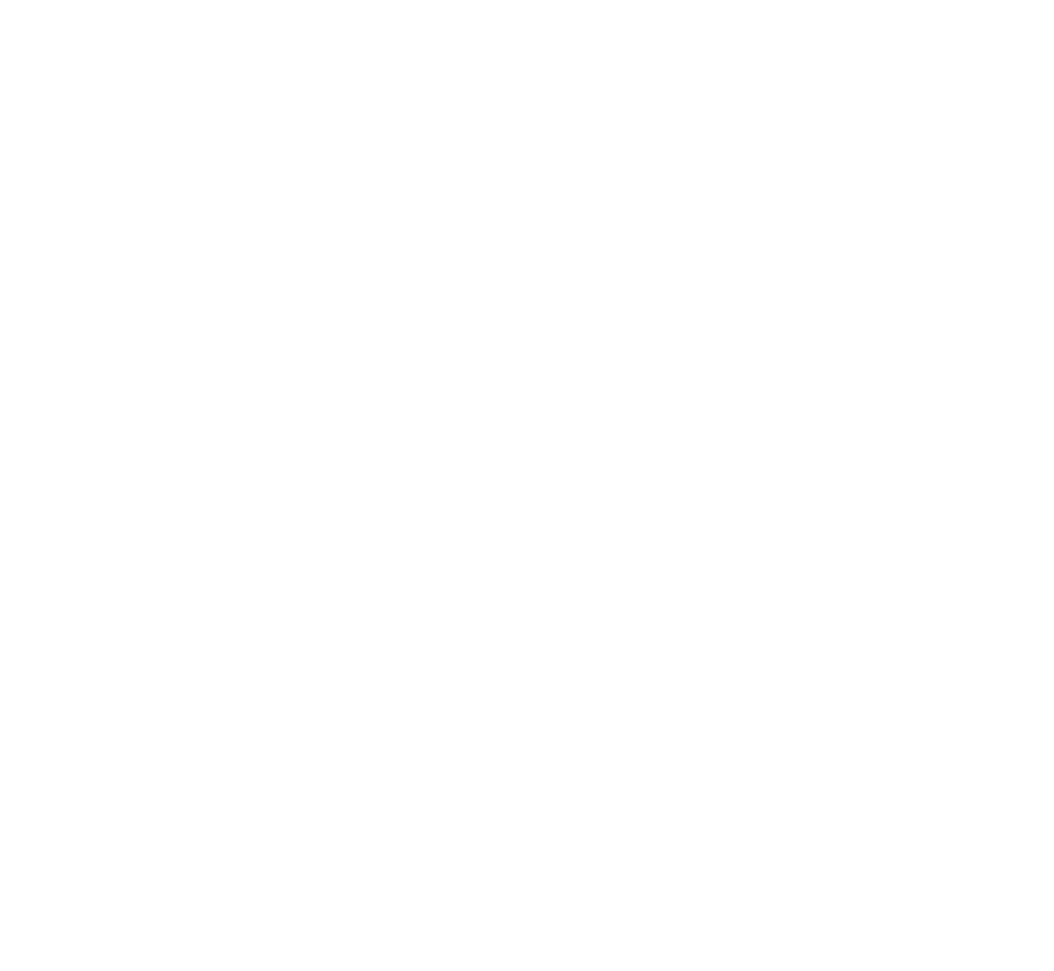 Zino Logo